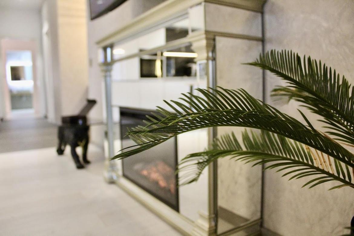 דירה Cleo's Penthouse *